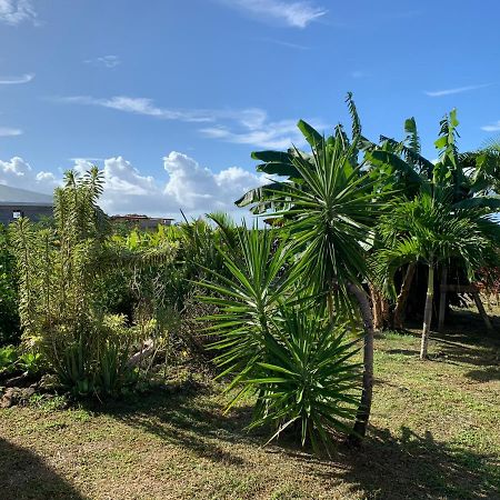 Gîte face à la mer des caraibes Sainte-Rose Extérieur photo