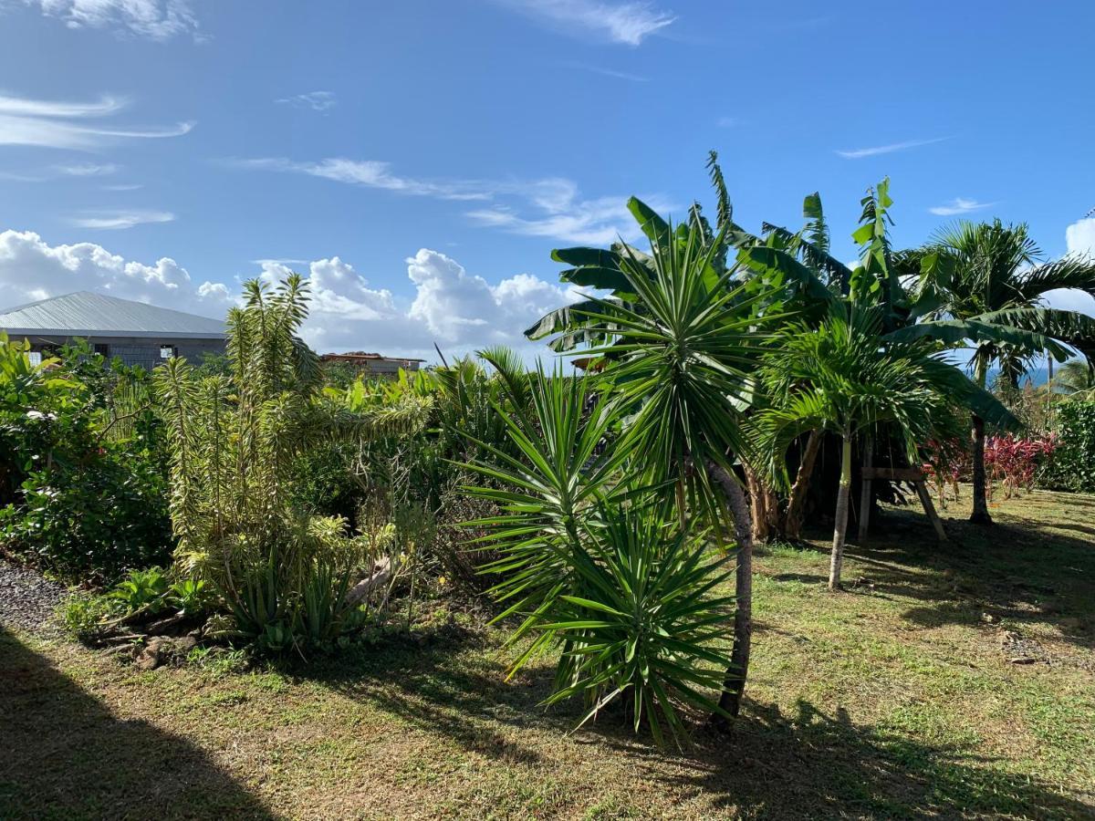 Gîte face à la mer des caraibes Sainte-Rose Extérieur photo